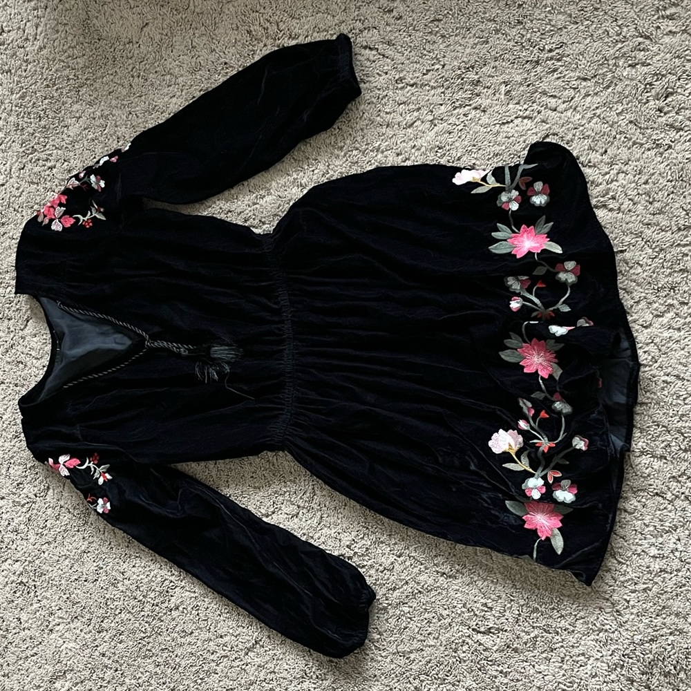 Vintage Velvet Embroidered Dress